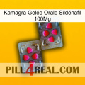 Kamagra Gelée Orale Sildénafil 100Mg 15
